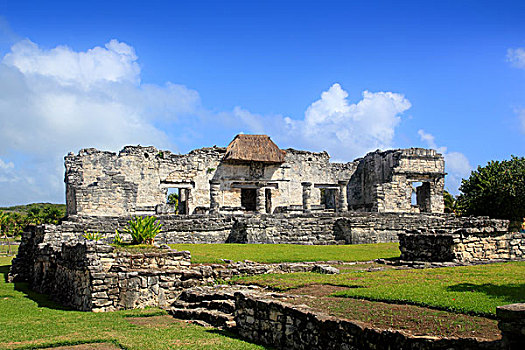 dạy cách đánh đề