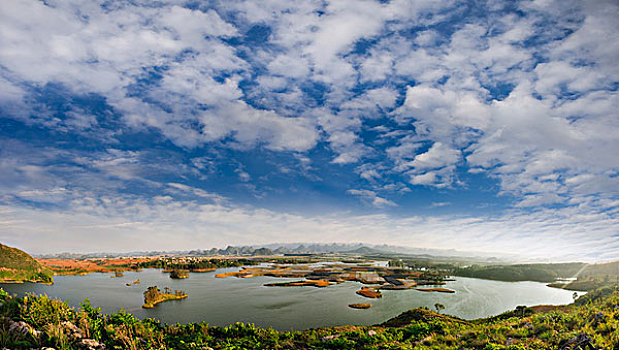 soi câu rong bach kim