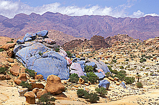 soi cầu 29