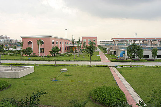 soi cau lo de chuan 100