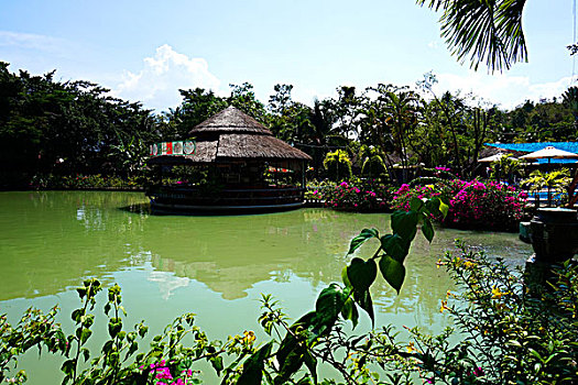 soi cầu 24h miễn phí