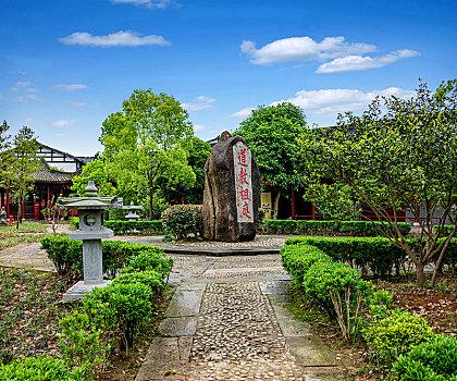 soi cau bach thu de