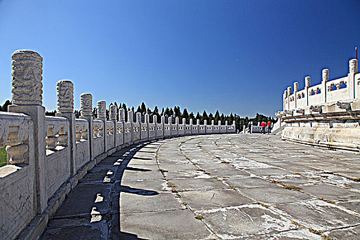bạch thủ ngày hôm nay