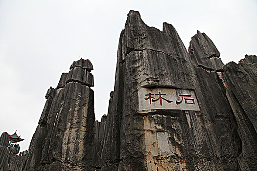 xổ số miền nam chiều nay