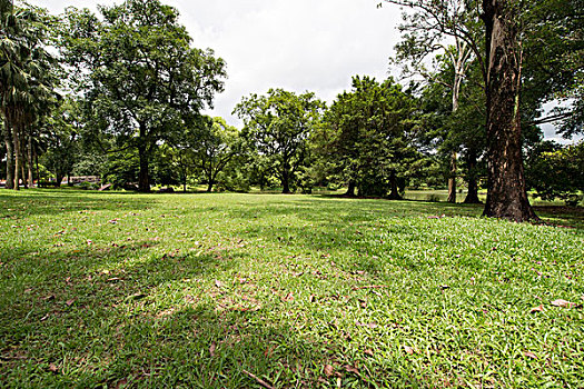 thống kê xổ số bình dương
