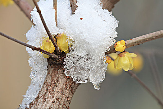 xskt đồng nai