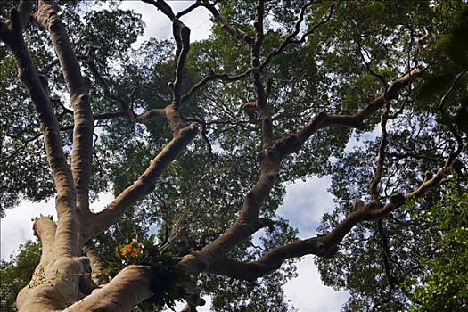 xổ số minh ngọc thứ 6