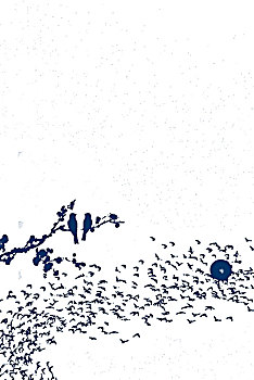 soi cau chuan 14