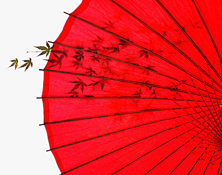 soi cầu bạch thủ đề