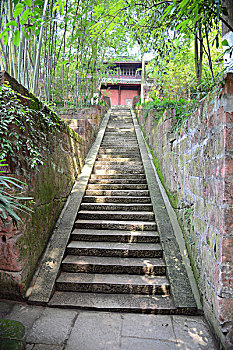soi cau lô bạch thủ