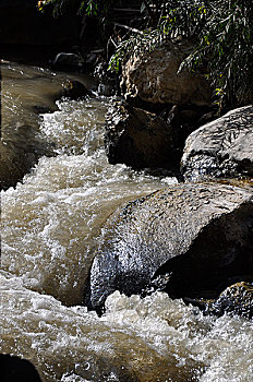 thống kê lô