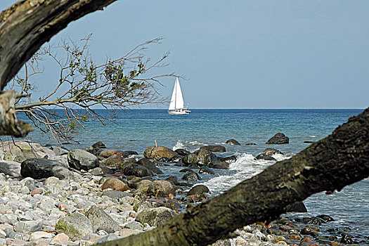 xổ số phương trang