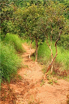 xs vung tau hom nay