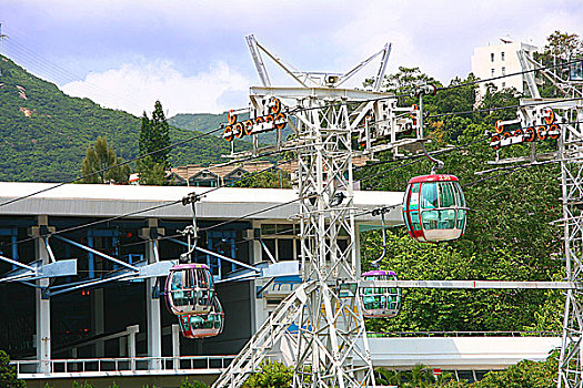 soi cầu rong bach kim