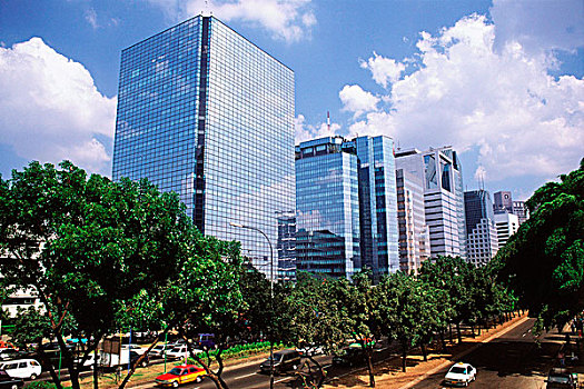 soi cau bac