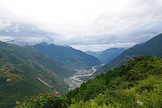 bach thu lo mien bac