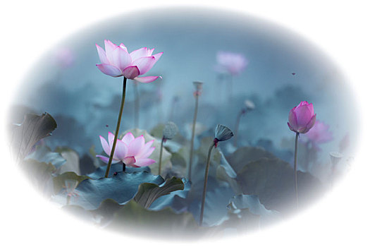 cách chơi lô xiên trên win2888