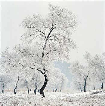 kết quả xổ số ba miền hôm nay