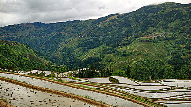 soi bach kim