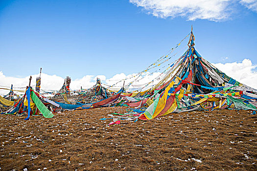 soi cau lo de rong bach kim