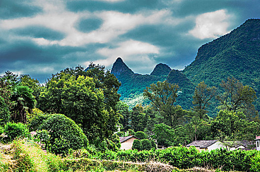 soi cau lo de bach thu mien bac