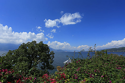 xs khanh hoà