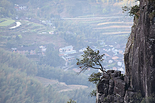 rong bach kim du doan xo so mien bac