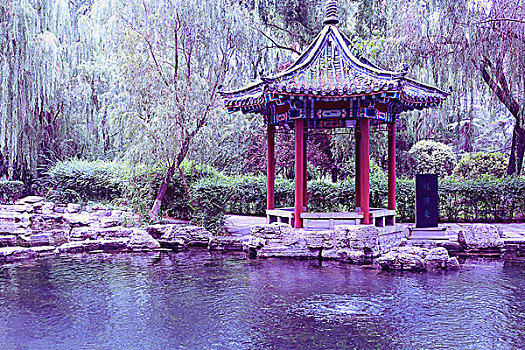 quay thu xo so daklak