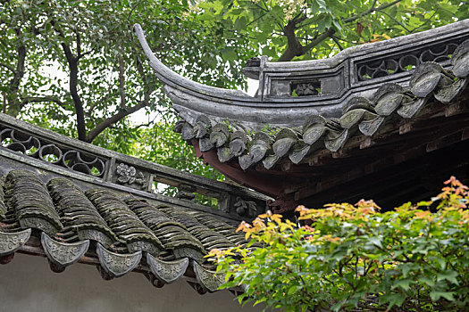 soi cầu bạch thủ ngày hôm nay