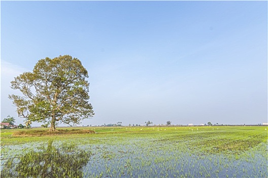 sổ kq