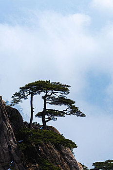 xổ số kiên giang ba đài