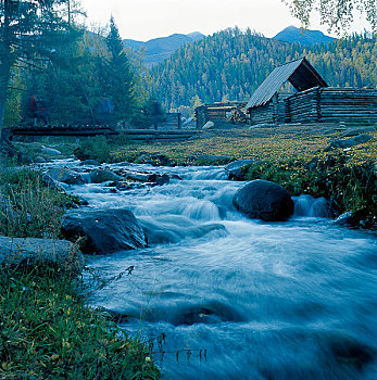 cau lo bach thu