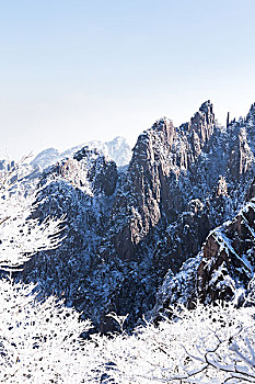 banner m88
