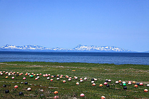 du doan lo to mien nam