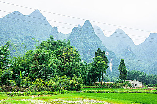 soi cầu giờ vàng