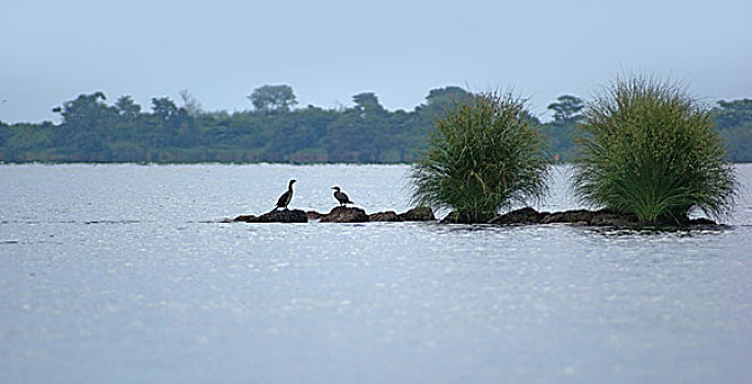 du doan 3 mien chinh xac