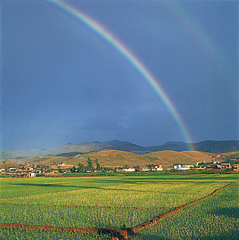 soi cau bach thu khung 3 ngay