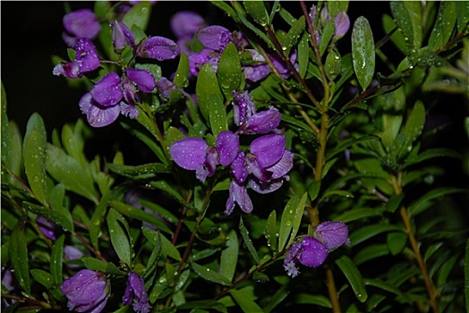 giờ vàng chốt số hôm nay