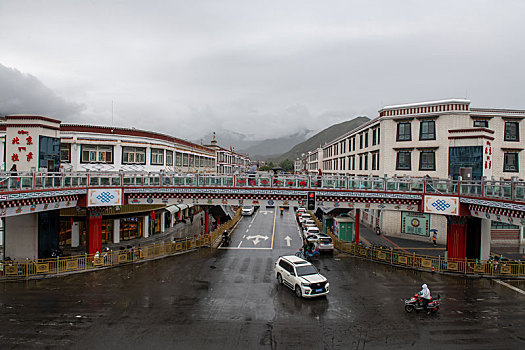 soi cau lo bach thu