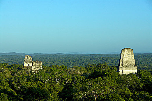 soi cau 999