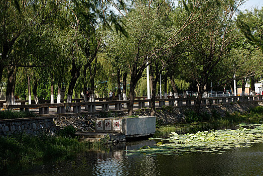 soi cau lo chinh xac