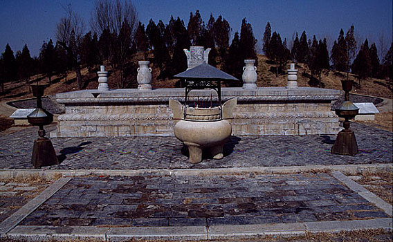 soi lo rong bach kim