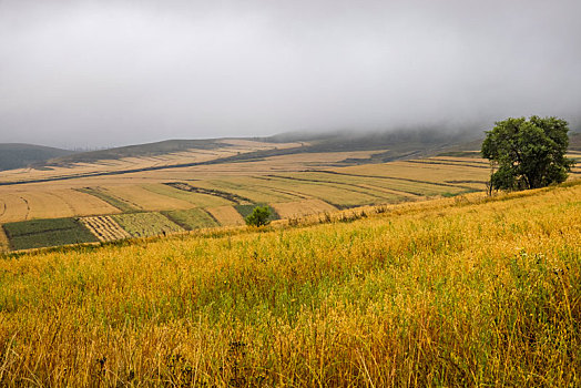 chốt số hôm nay