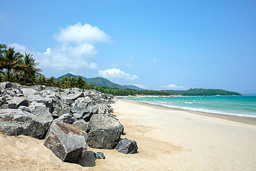 choi so de