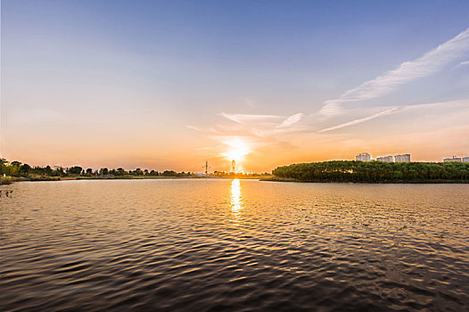 hôm nay bạch thủ con gì