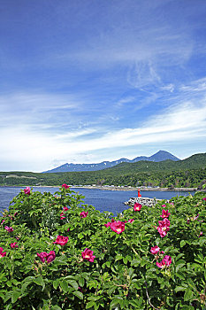 soi cau rong bach kim mien phi chinh xac