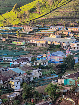 dò vé số