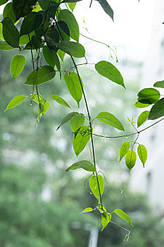 kết quả xổ số tháng