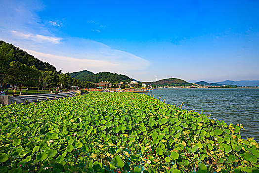 soi cầu 88 99