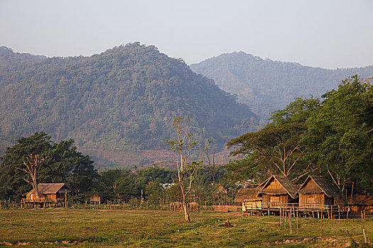 xem rong bach kim